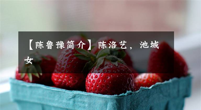 【陈鲁豫简介】陈洛艺,池城女