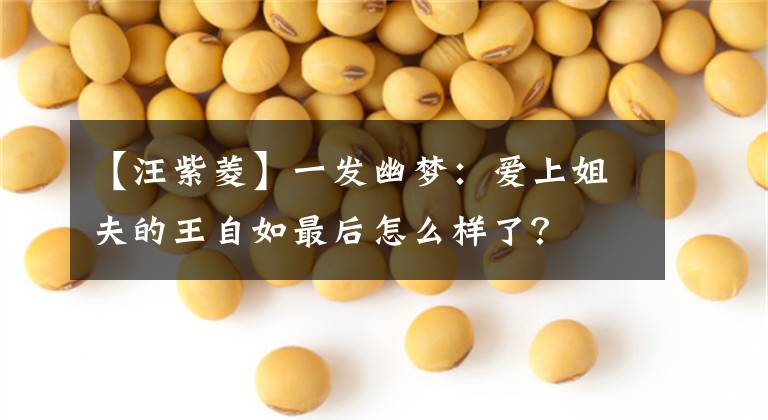 【汪紫菱】一发幽梦:爱上姐夫的王自如最后怎么样了?