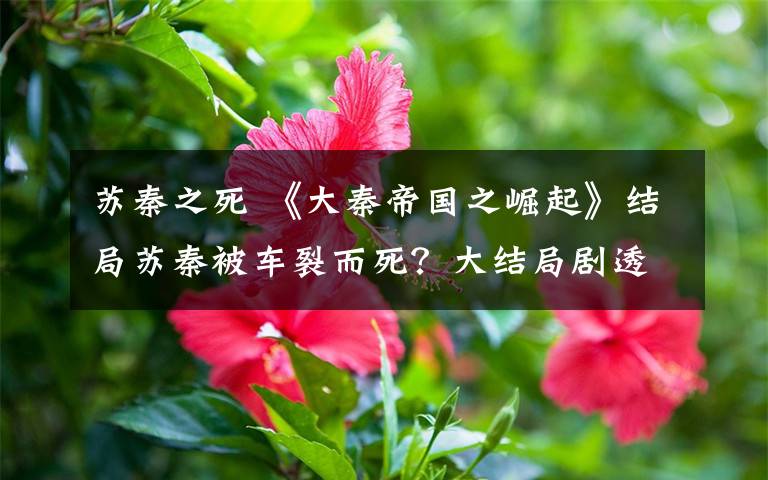 苏秦之死 《大秦帝国之崛起》结局苏秦被车裂而死?大结局剧透及分集剧情