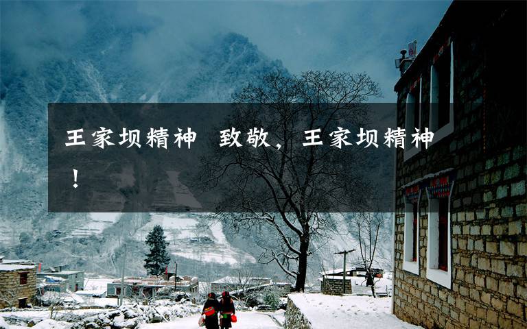 王家坝精神  致敬，王家坝精神！