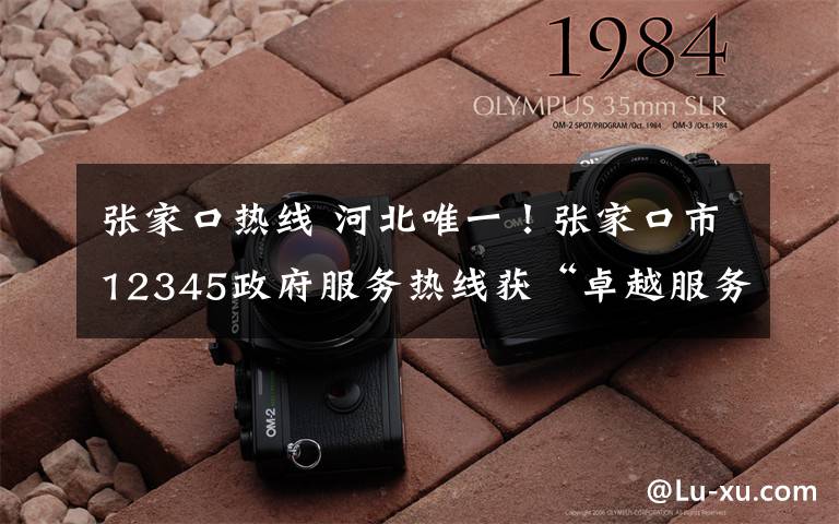 张家口热线 河北唯一!张家口市12345政府服务热线获“卓越服务创新”奖