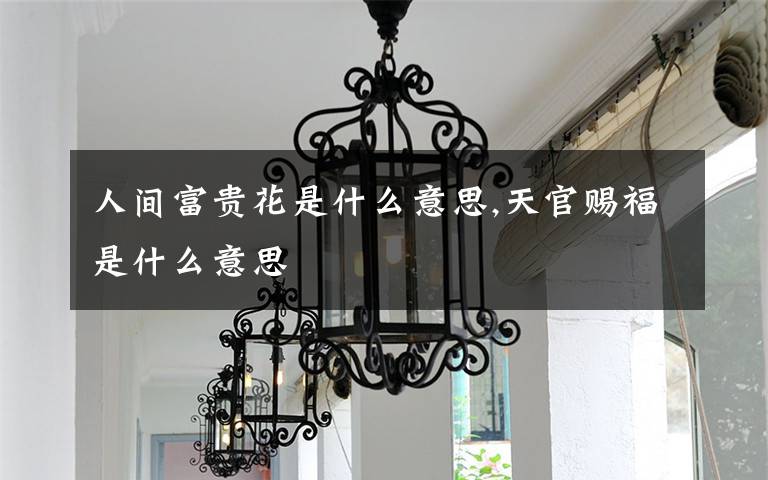 人间富贵花是什么意思,天官赐福是什么意思