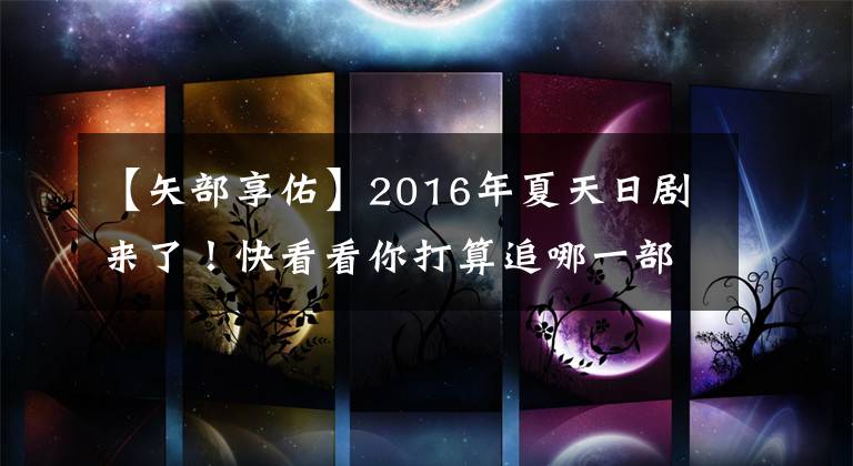 【矢部享佑】2016年夏天日剧来了!快看看你打算追哪一部?