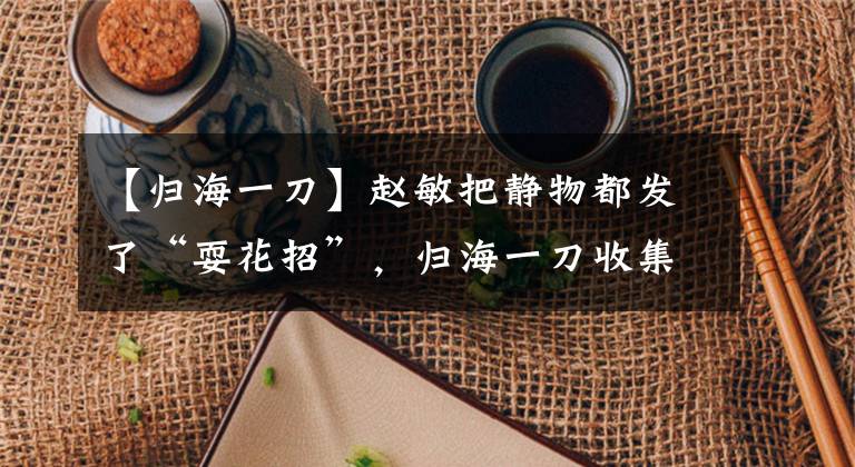 【归海一刀】赵敏把静物都发了“耍花招”,归海一刀收集了一盒女人头饰