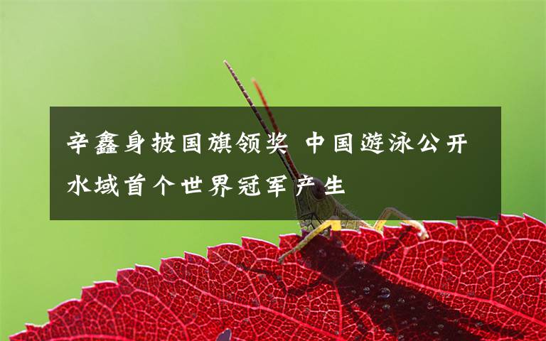 辛鑫身披国旗领奖 中国游泳公开水域首个世界冠军产生