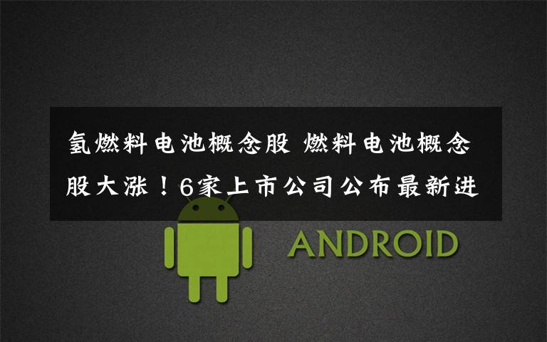 氢燃料电池概念股 燃料电池概念股大涨!6家上市公司公布最新进展