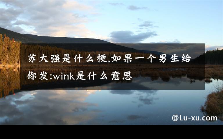 苏大强是什么梗,如果一个男生给你发:wink是什么意思