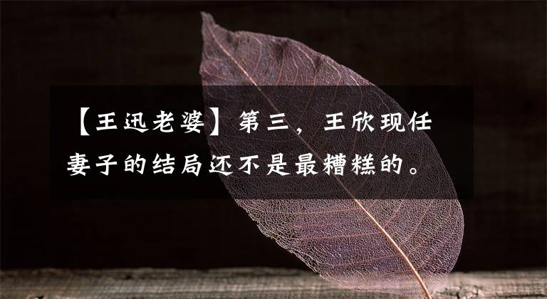 【王迅老婆】第三,王欣现任妻子的结局还不是最糟糕的。