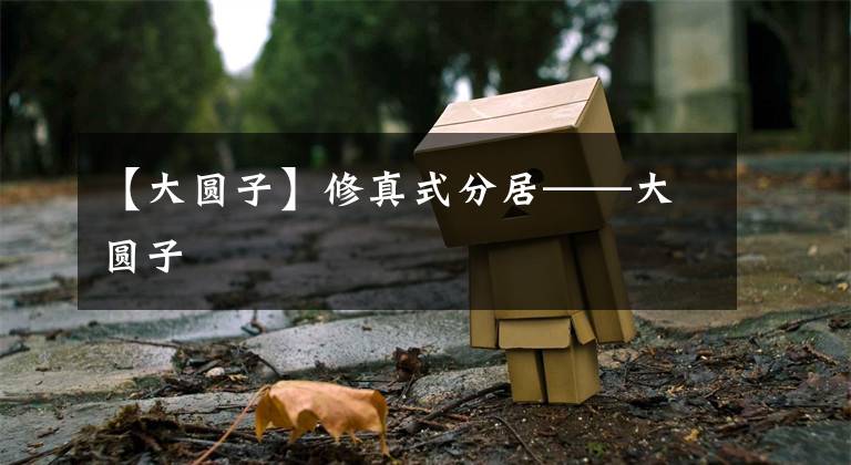 【大圆子】修真式分居——大圆子