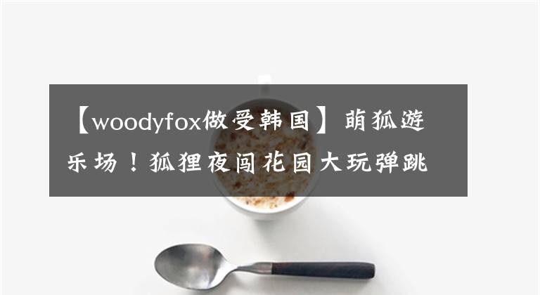 【woodyfox做受韩国】萌狐游乐场！狐狸夜闯花园大玩弹跳床翻滚跳跃萌翻天！