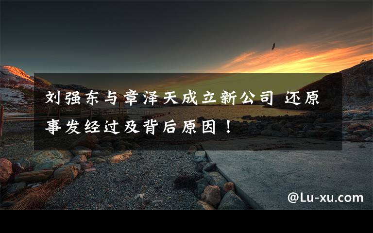 刘强东与章泽天成立新公司 还原事发经过及背后原因!