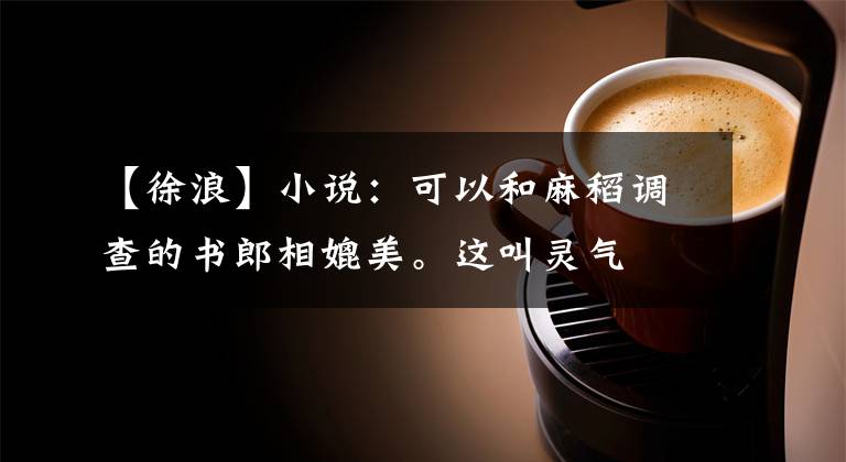【徐浪】小说:可以和麻稻调查的书郎相媲美。这叫灵气
