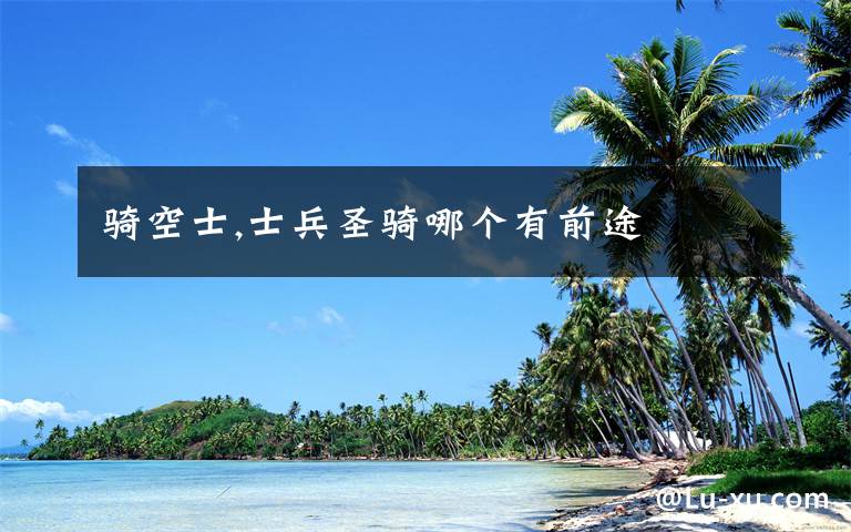 骑空士,士兵圣骑哪个有前途