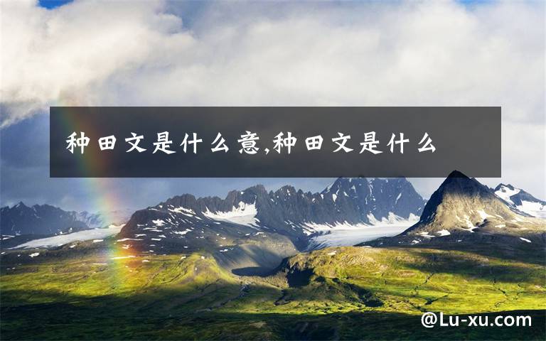 种田文是什么意,种田文是什么