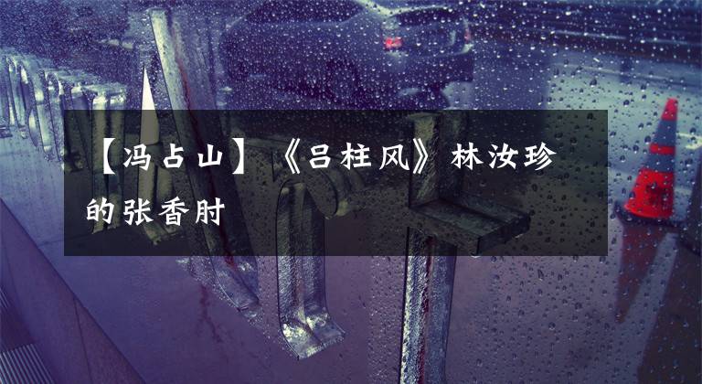 【冯占山】《吕柱风》林汝珍的张香肘