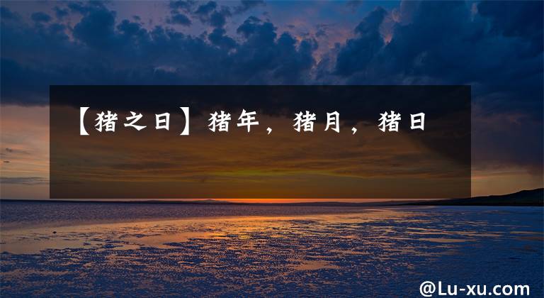 【猪之日】猪年，猪月，猪日
