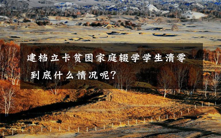 建档立卡贫困家庭辍学学生清零 到底什么情况呢?