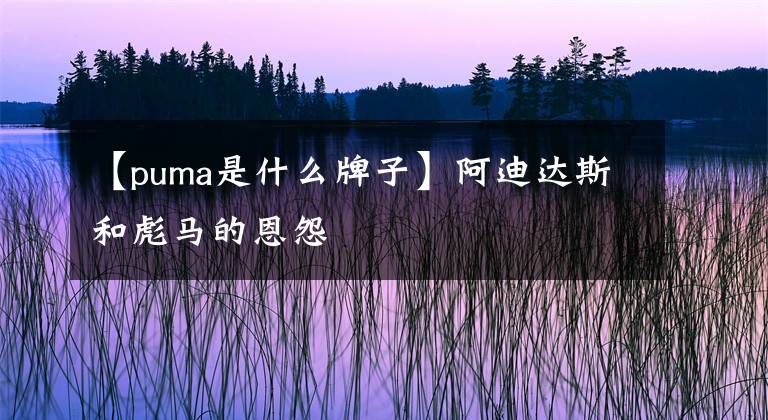 【puma是什么牌子】阿迪达斯和彪马的恩怨