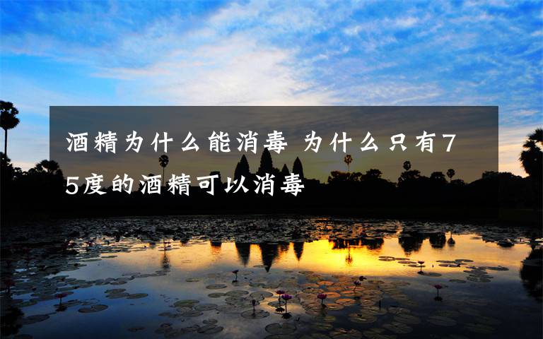 酒精为什么能消毒 为什么只有75度的酒精可以消毒