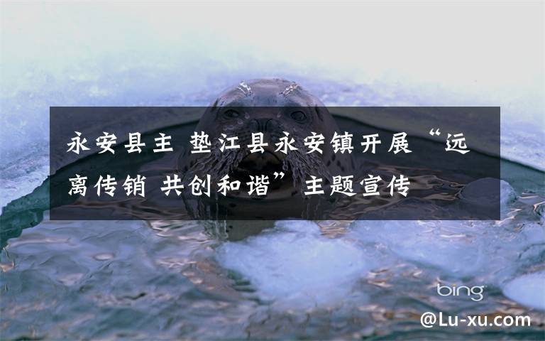 永安县主 垫江县永安镇开展“远离传销 共创和谐”主题宣传