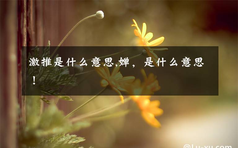 激推是什么意思,婵，是什么意思！