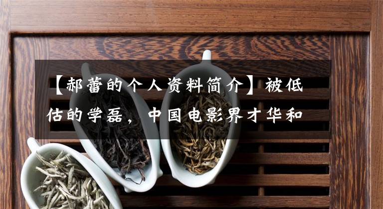 【郝蕾的个人资料简介】被低估的学磊,中国电影界才华和荣誉最不一致的女演员。