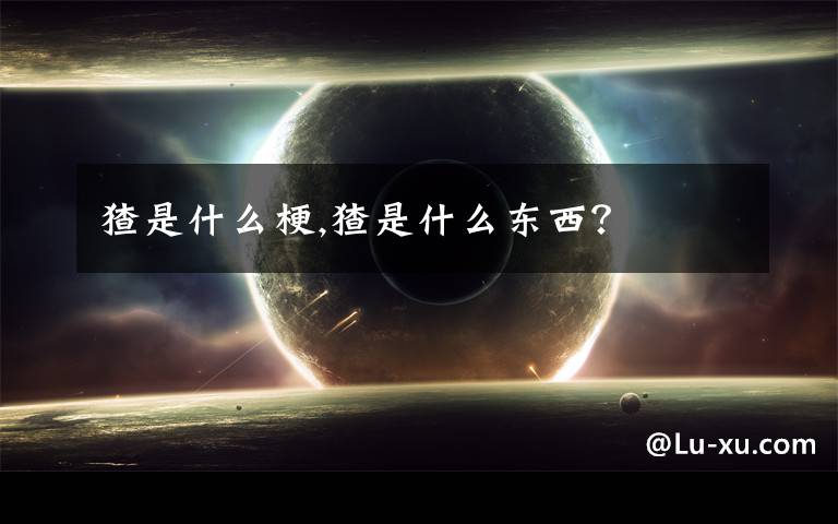 猹是什么梗,猹是什么东西？