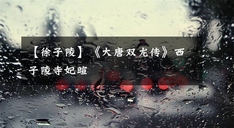 【徐子陵】《大唐双龙传》西子陵寺妃暄