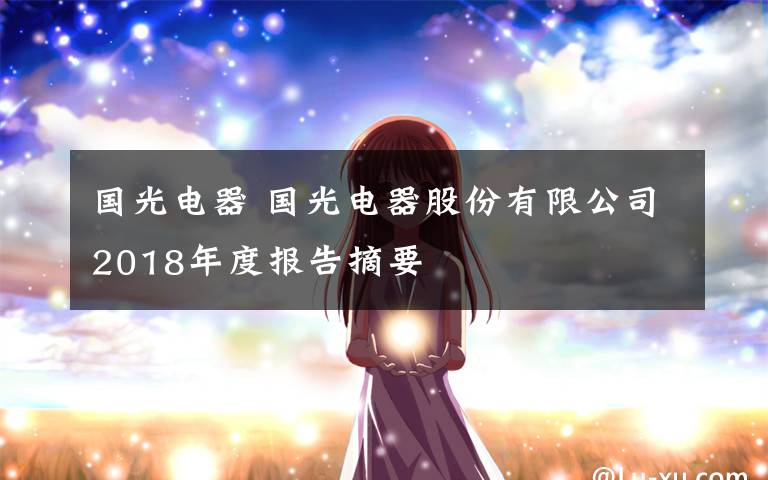 国光电器 国光电器股份有限公司2018年度报告摘要