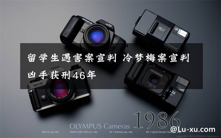 留学生遇害案宣判 冷梦梅案宣判凶手获刑46年