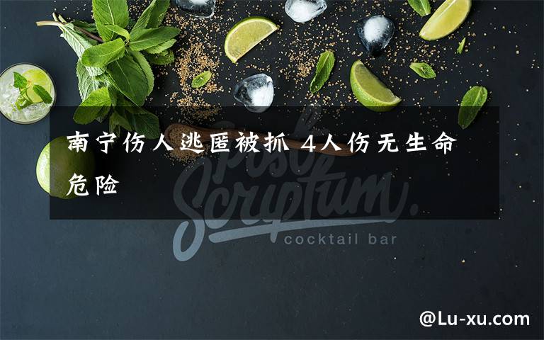 南宁伤人逃匿被抓 4人伤无生命危险