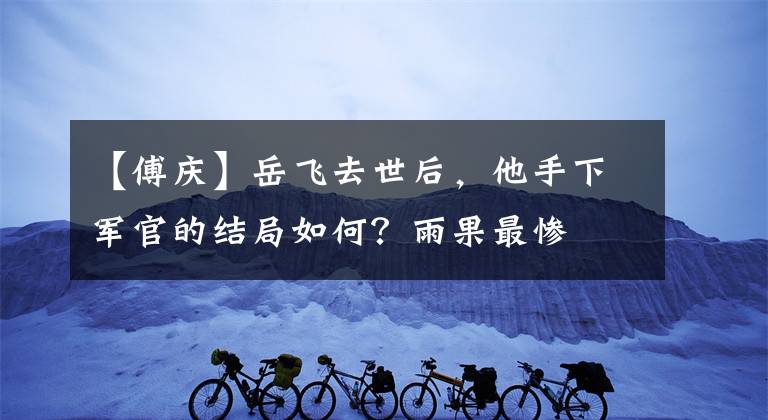 【傅庆】岳飞去世后，他手下军官的结局如何？雨果最惨