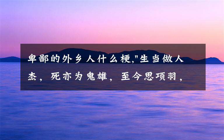 卑鄙的外乡人什么梗,
