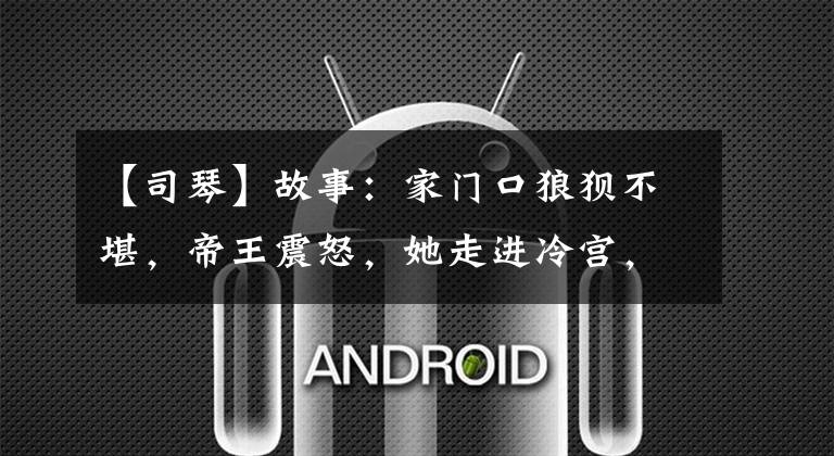 【司琴】故事:家门口狼狈不堪,帝王震怒,她走进冷宫,永远不出来。