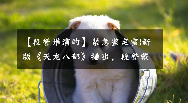 【段誉谁演的】紧急鉴定室|新版《天龙八部》播出,段誉戴耳环被观众嘲笑:辣眼睛