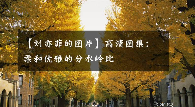 【刘亦菲的图片】高清图集：柔和优雅的分水岭比