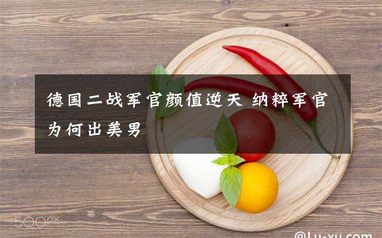 德国二战军官颜值逆天 纳粹军官为何出美男