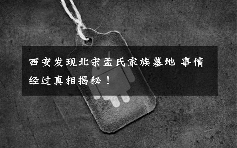 西安发现北宋孟氏家族墓地 事情经过真相揭秘！