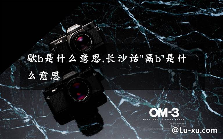 歇b是什么意思,长沙话