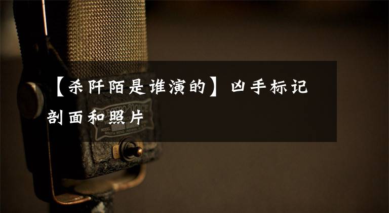 【杀阡陌是谁演的】凶手标记剖面和照片