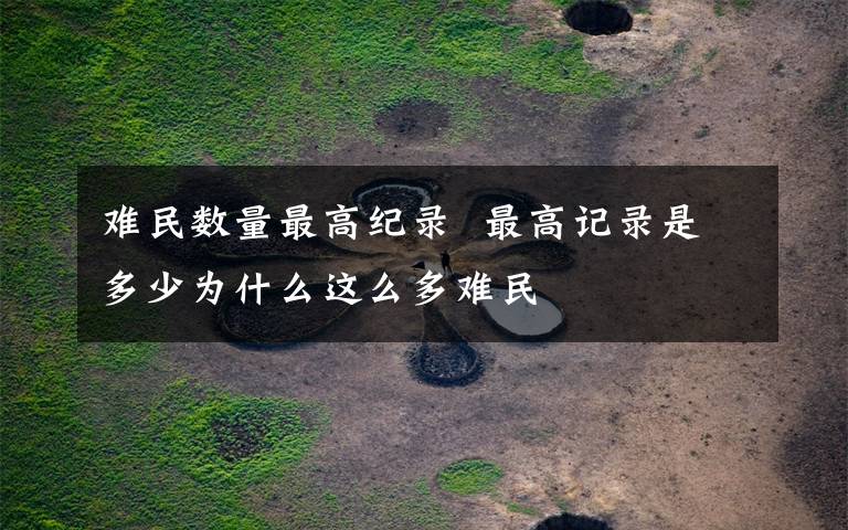 难民数量最高纪录  最高记录是多少为什么这么多难民