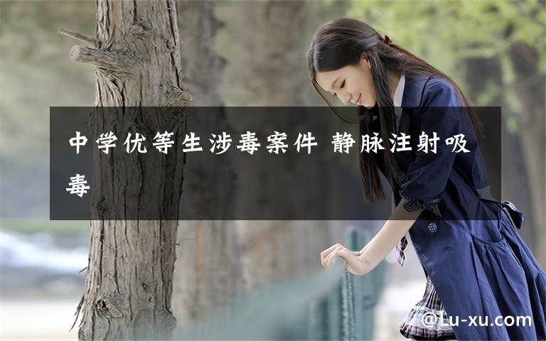 中学优等生涉毒案件 静脉注射吸毒