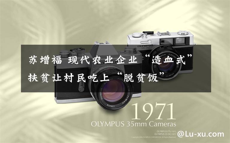 苏增福 现代农业企业“造血式”扶贫让村民吃上“脱贫饭”