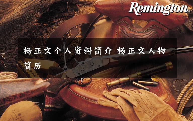 杨正文个人资料简介 杨正文人物简历