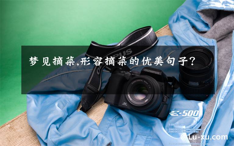 梦见摘菜,形容摘菜的优美句子?