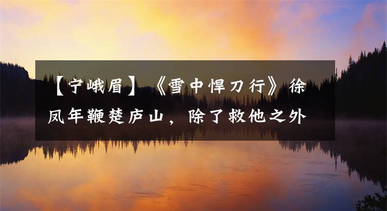 【宁峨眉】《雪中悍刀行》徐凤年鞭楚庐山,除了救他之外,还有三个目的