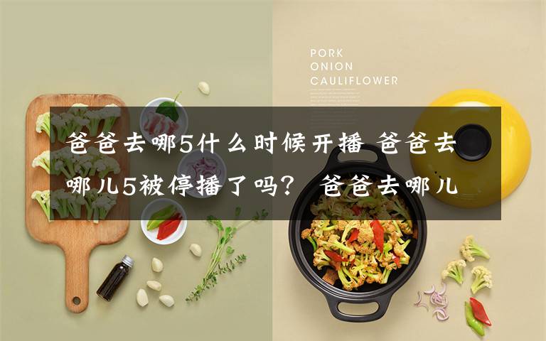 爸爸去哪5什么时候开播 爸爸去哪儿5被停播了吗? 爸爸去哪儿5播出时间及嘉宾名单