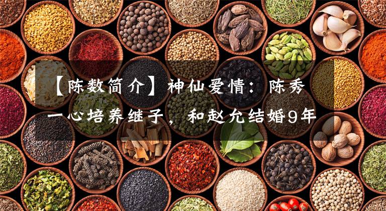 【陈数简介】神仙爱情:陈秀一心培养继子,和赵允结婚9年后赢了初恋吗?