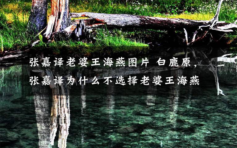 张嘉译老婆王海燕图片 白鹿原,张嘉译为什么不选择老婆王海燕扮演仙草,而是秦海璐