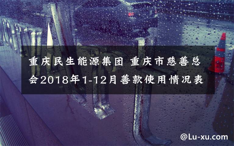 重庆民生能源集团 重庆市慈善总会2018年1-12月善款使用情况表